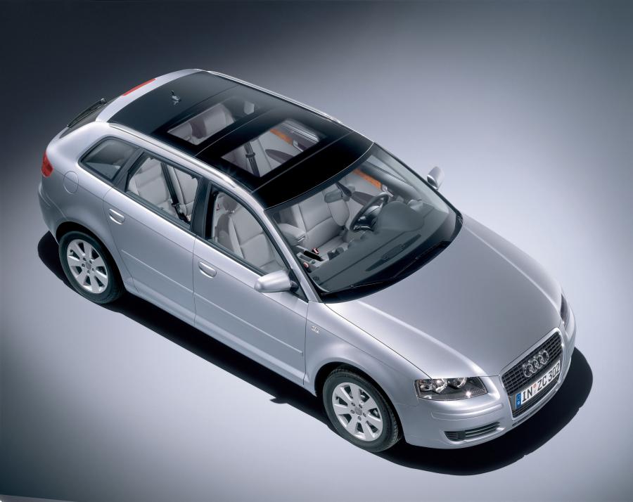  Audi A3 Sportback 1.9 TDI (8PA) 2004 года  (WW) (фото 14 из 23)
